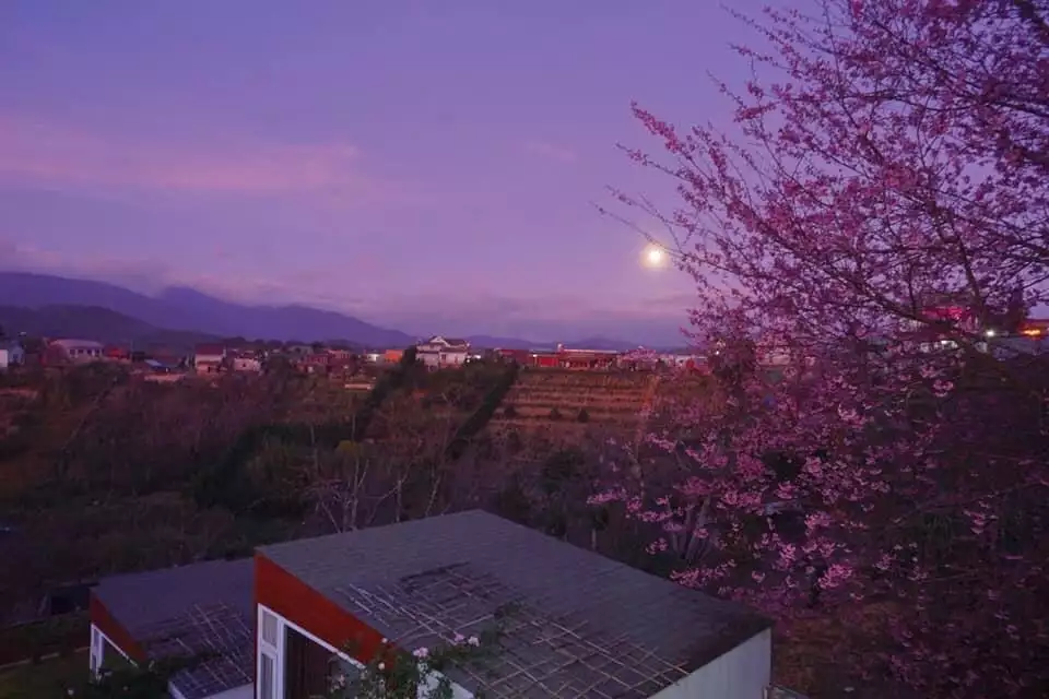 Home